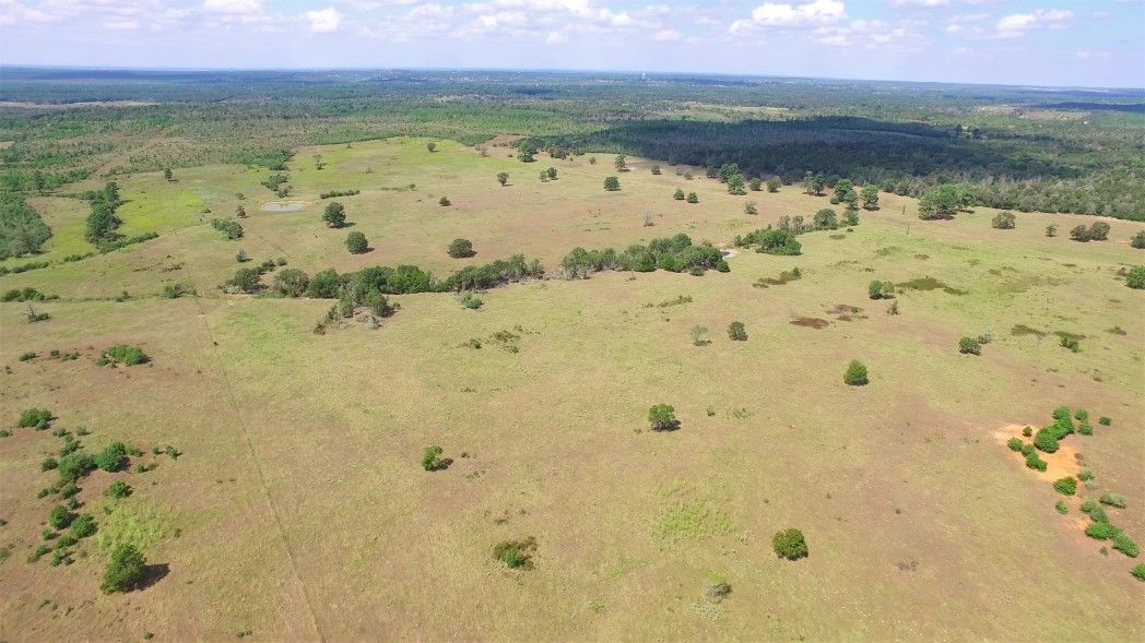 Listing Image #8