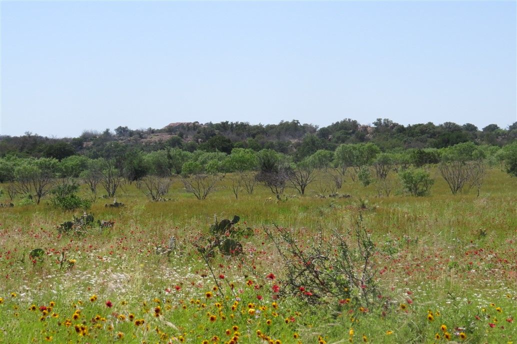Listing Image #7