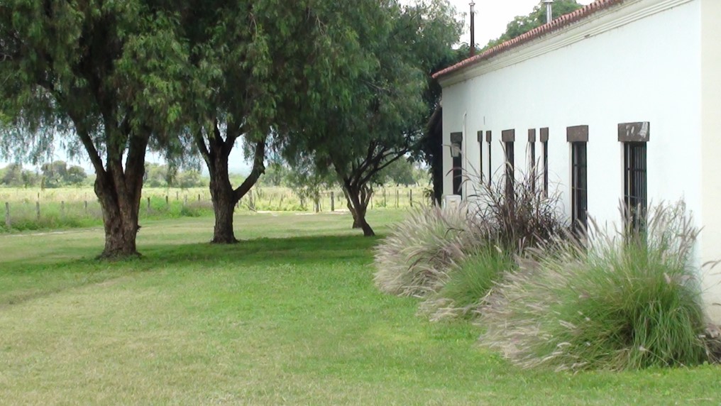Listing Image #2
