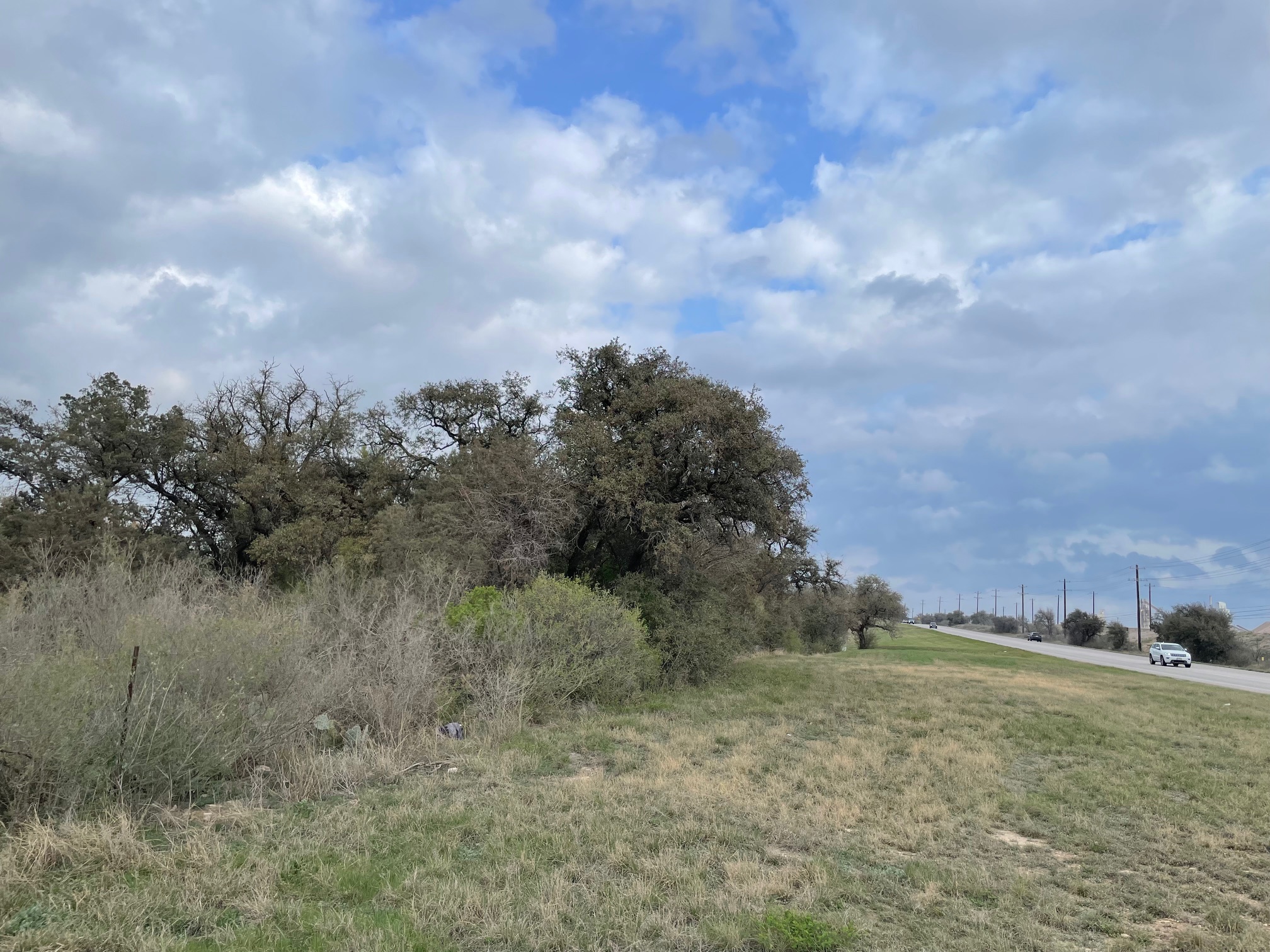Listing Image #7