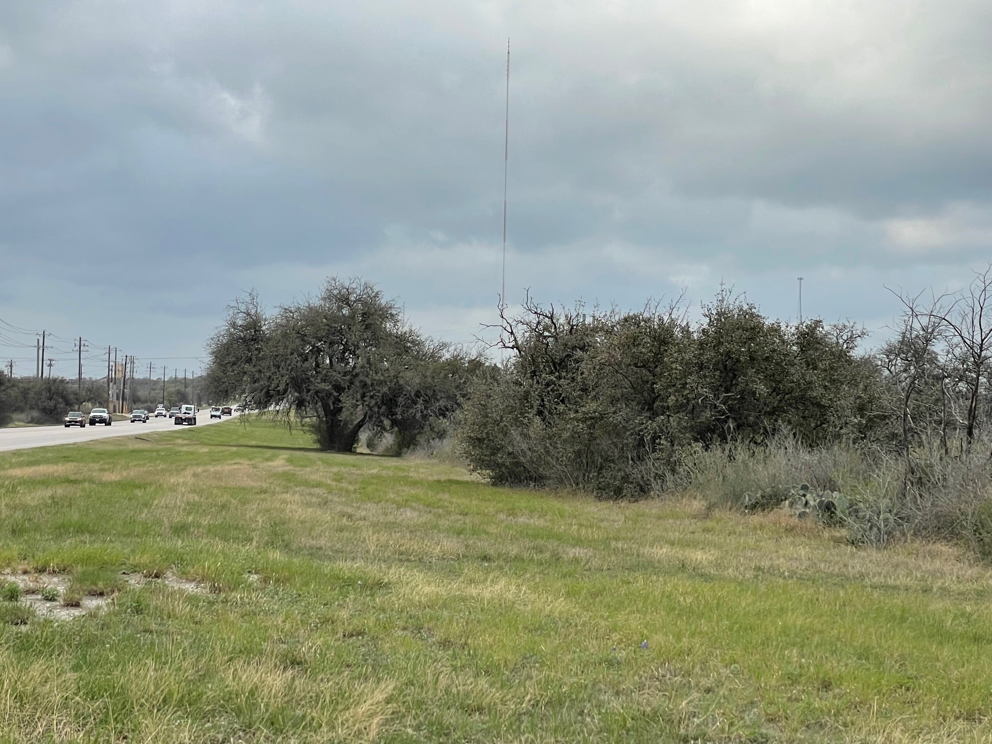 Listing Image #12