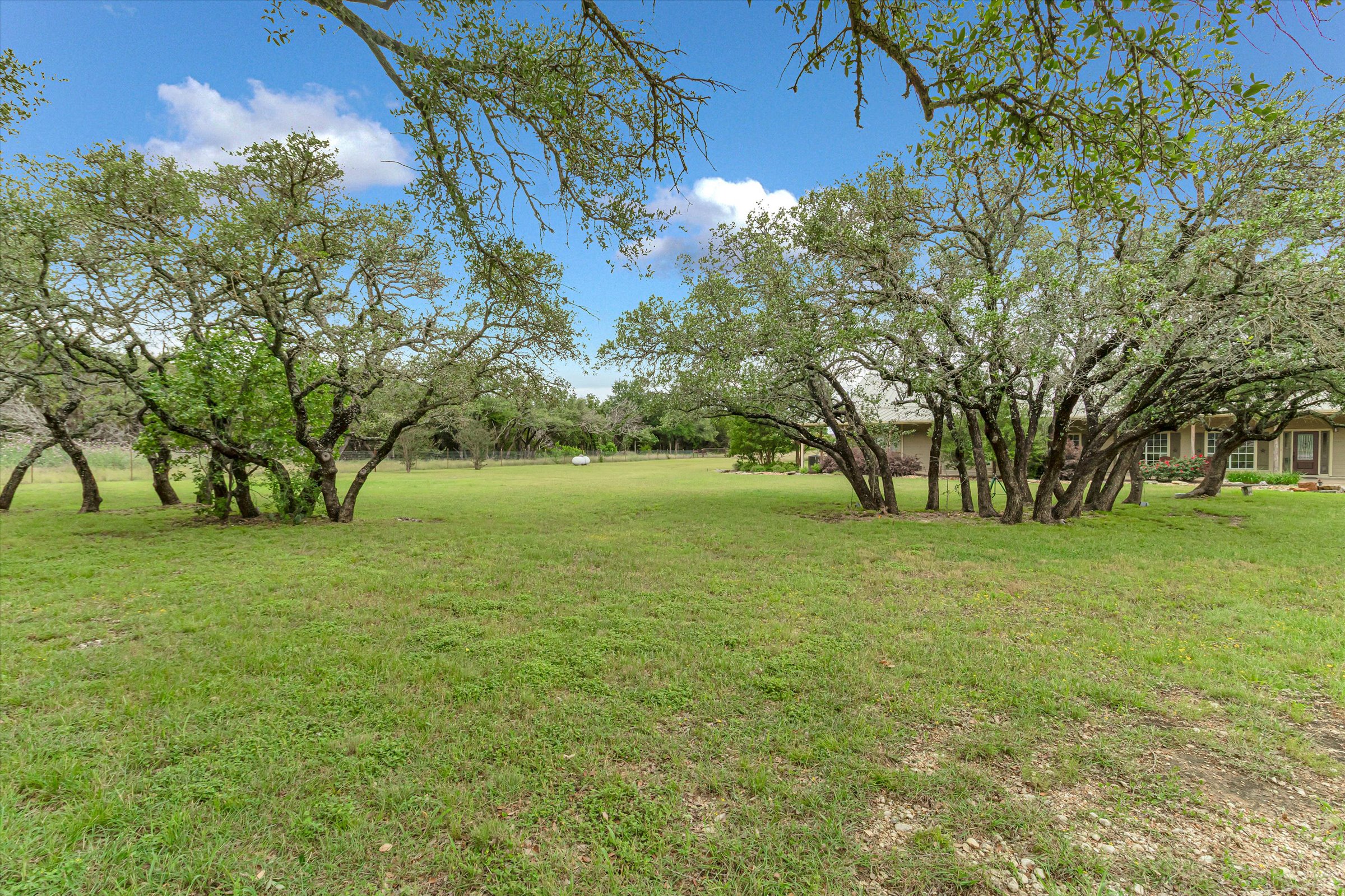 Listing Image #7