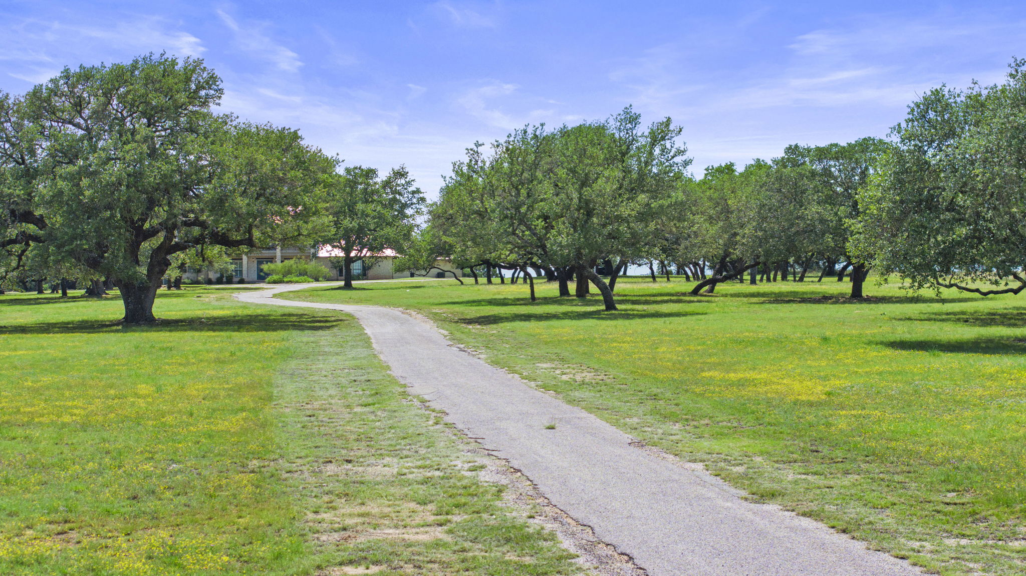 Listing Image #6
