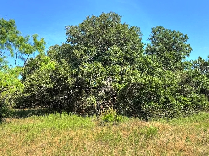 Listing Image #8