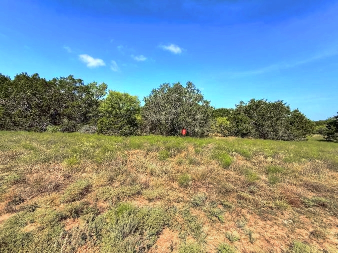 Listing Image #5