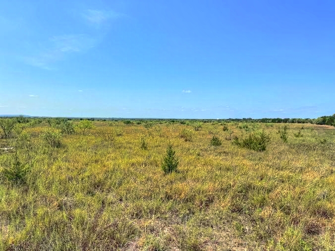 Listing Image #3