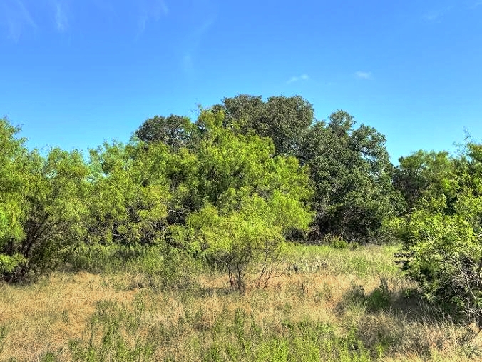 Listing Image #6