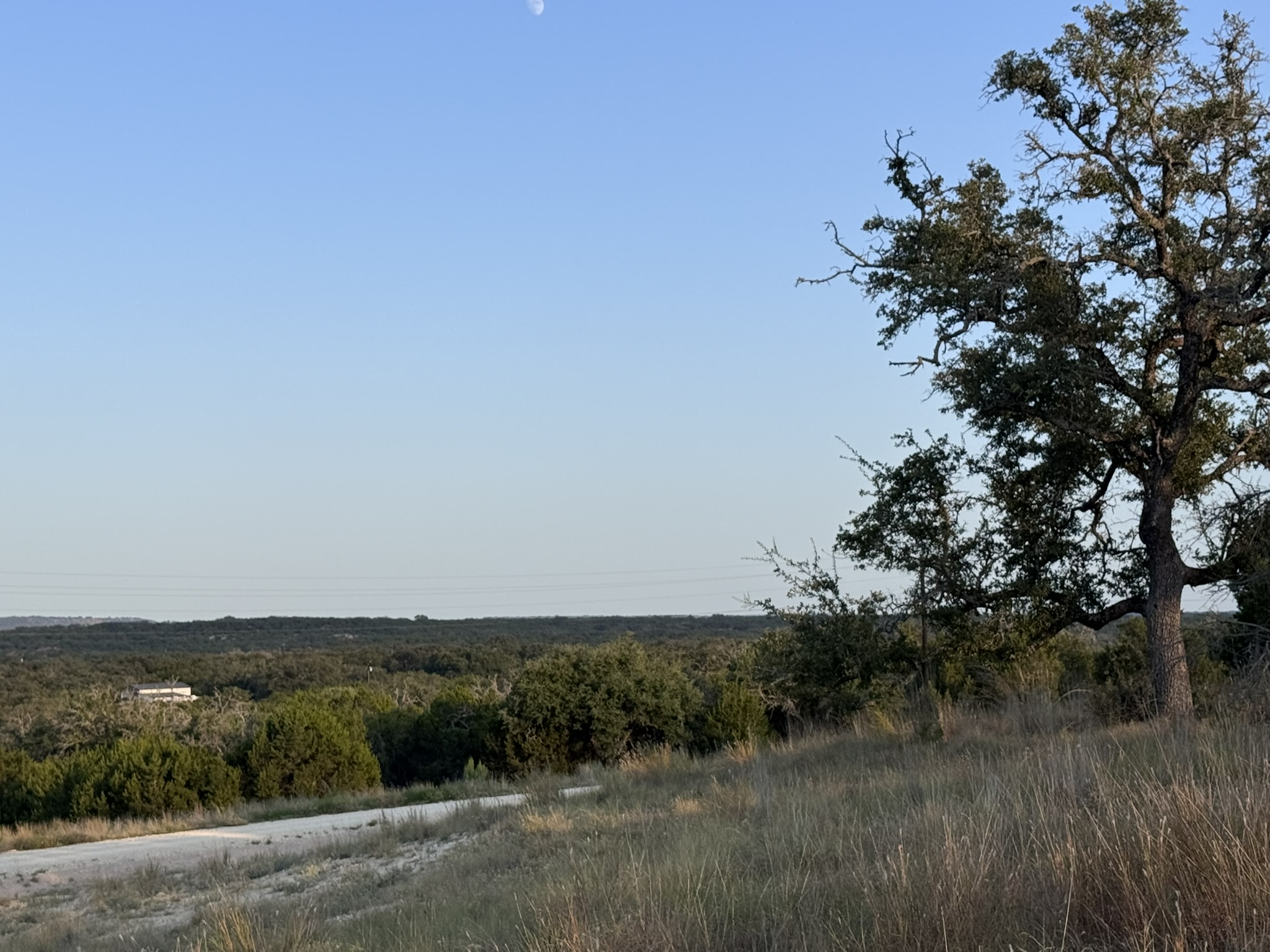 Listing Image #7