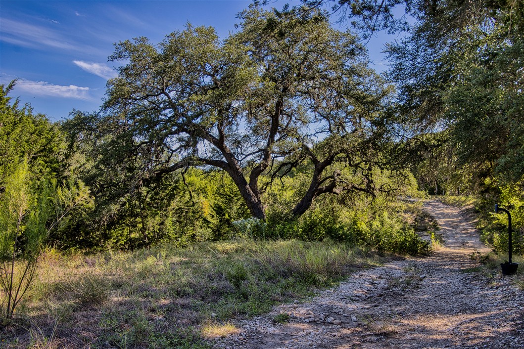 Listing Image #8