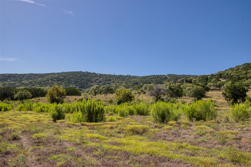 Listing Image #13