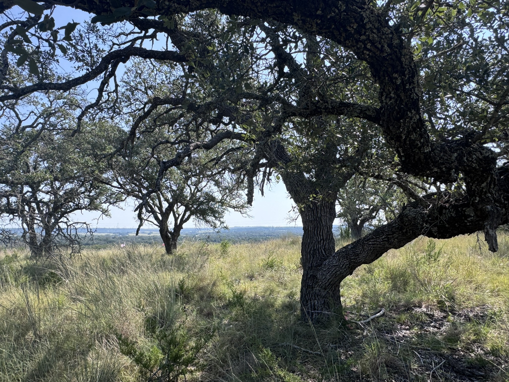 Listing Image #6
