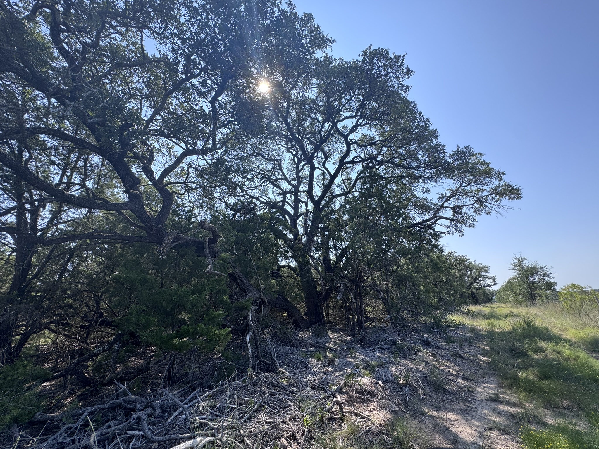 Listing Image #3