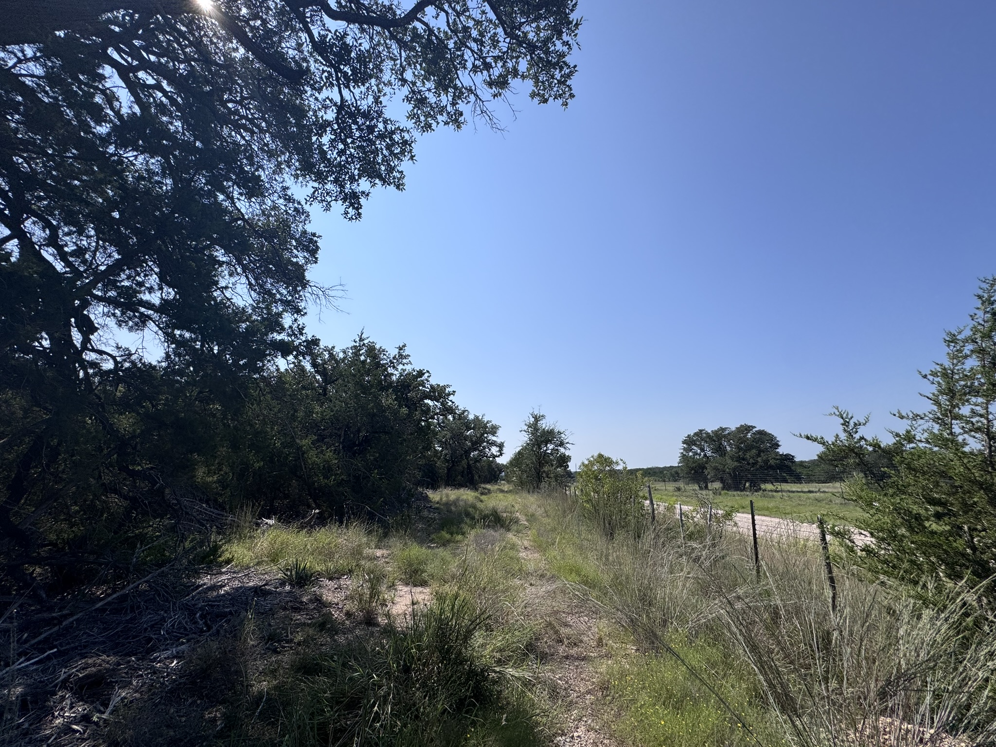 Listing Image #4