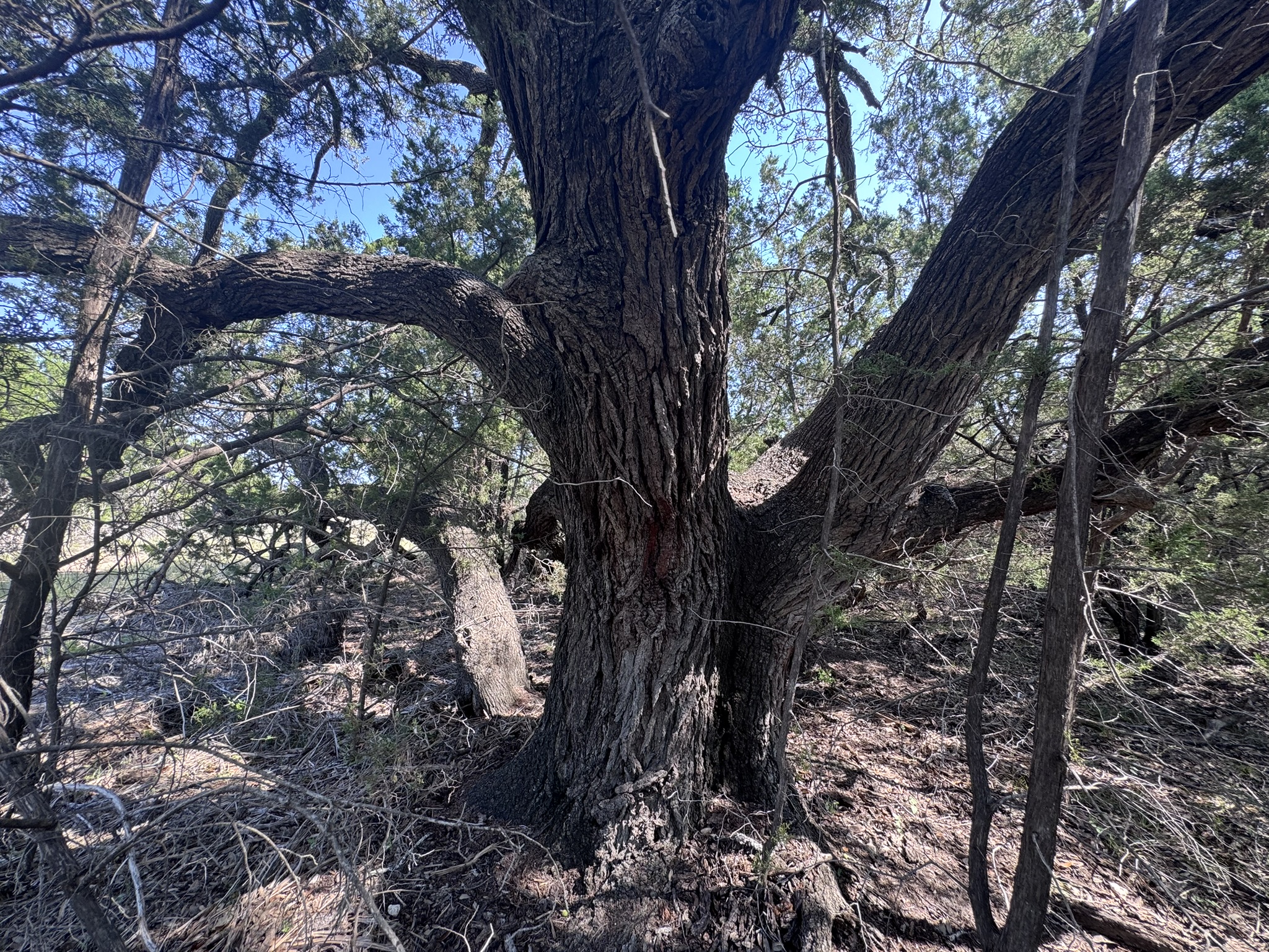 Listing Image #5