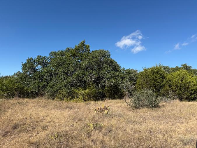 Listing Image #5