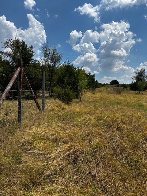 Listing Image #5